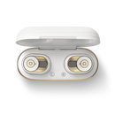 Nouveau : Ecouteurs True Wireless Gemini II - DEVIALET